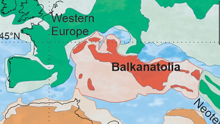 Mashinada Blowjob, Sankt-Peterburg Opa-singil Tolmachevylarning porno rasmlari