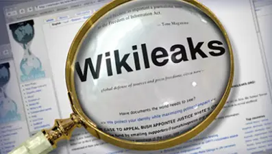 Wikileaks: Assange davası siyasi