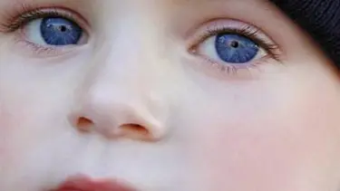 RS virüsünün tam mevsimi