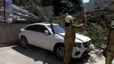 Kadıköy'de ağaç aracın üzerine devrildi