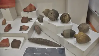 Ani Ören Yeri’nin Hikayesi sergisi açıldı