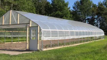 Manisa'da 44 sera işçisi zehirlenerek hastaneye kaldırıldı