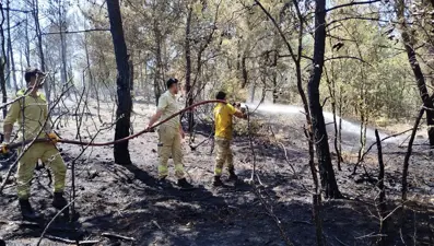 Sinop'ta orman yangını: 8 dönüm alan zarar gördü
