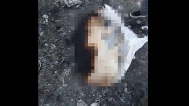 Çuval içinde yakılarak öldürülmüş köpek bulundu