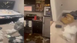 Sevgililer Günü'nde erkek arkadaşından hediye alamayan kadın çılgına döndü! O anları sosyal medyada paylaştı Sevgililer Günü'nde erkek arkadaşından hediye alamayan kadın çılgına döndü! O anları sosyal medyada paylaştı