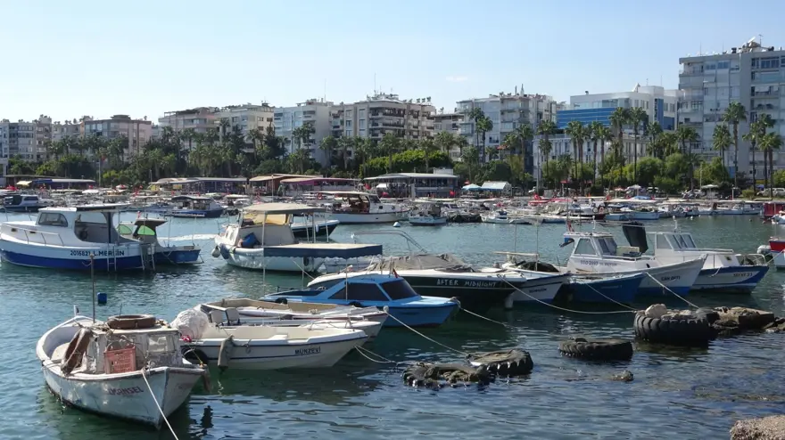 Tezgahta bolluk var: Fiyatlar kasım sonuna kadar uygun 4