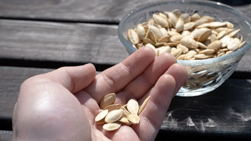 5. E VİTAMİNİ 5 5. E VİTAMİNİ 5