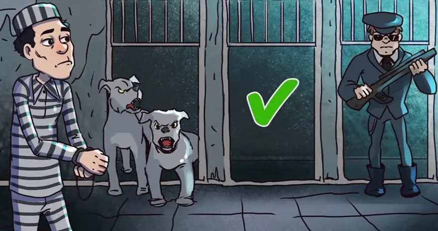 Dördüncü kapıya nasıl ulaşırsın? (En aldatıcı bulmacalar) 22