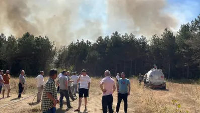 Sakarya'da orman yangını: Ekipler olay terinde