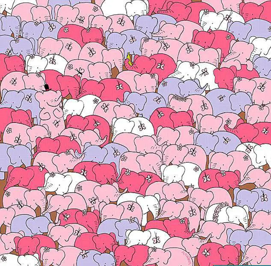 Sosyal medyayı ikiye bölen fotoğrafın sırrı yıllar sonra çözüldü! 6