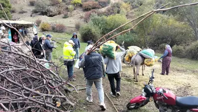Yılın ilk mahsulü toplandı: Sezon bereketli geçti