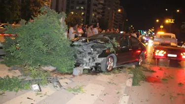 Manisa'da trafik kazası: 5 ağacı devirerek durabildi