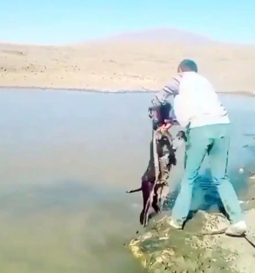 Sıpaya eziyet eden 2 kişiye 947'şer lira ceza 2 Sıpaya eziyet eden 2 kişiye 947'şer lira ceza 2