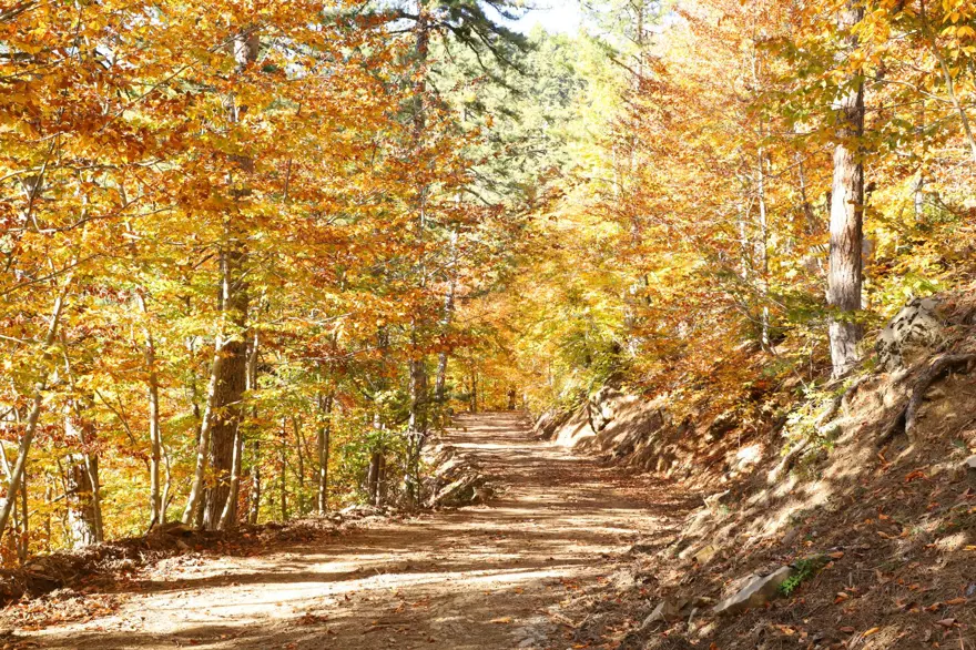 Kahramanmaraş'taki Akifiye Yaylası'na sonbaharın renkleri hakim oldu 2