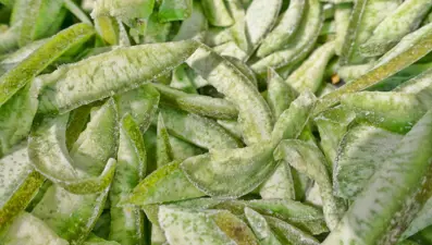 Gözleri iyileştiriyor, retina için en güçlü kalkan: Takviyeleri unutun!