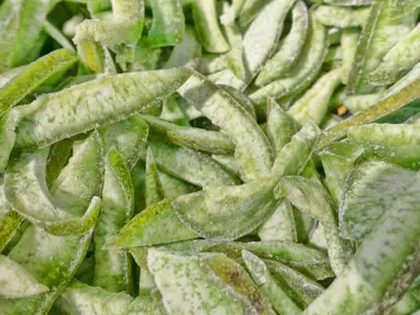 Gözleri iyileştiriyor, retina için en güçlü kalkan: Takviyeleri unutun!