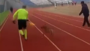 Ankara’da maçta sahaya giren köpeği yan hakem çıkardı