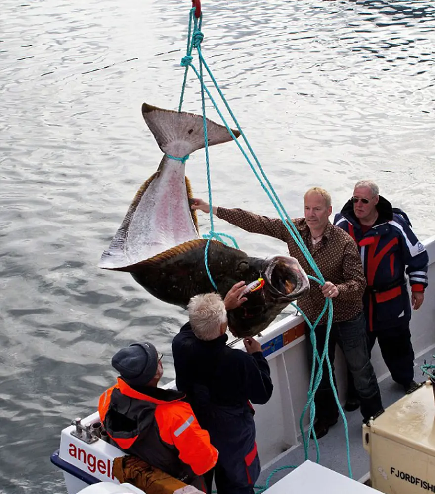 Yalangoch yigitlarning uy qurilishi fotosuratlari Porno: dunyodagi eng katta jinsiy olatni
