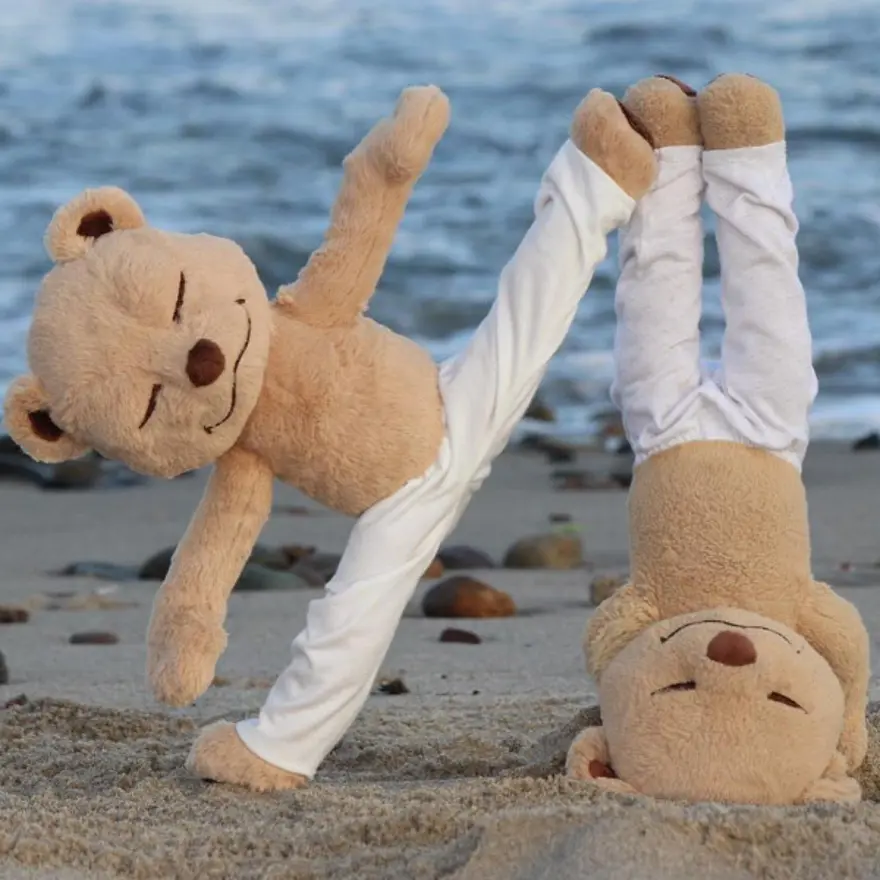 İnternetin yeni fenomeni Yogi Ayı Meddy Teddy 14