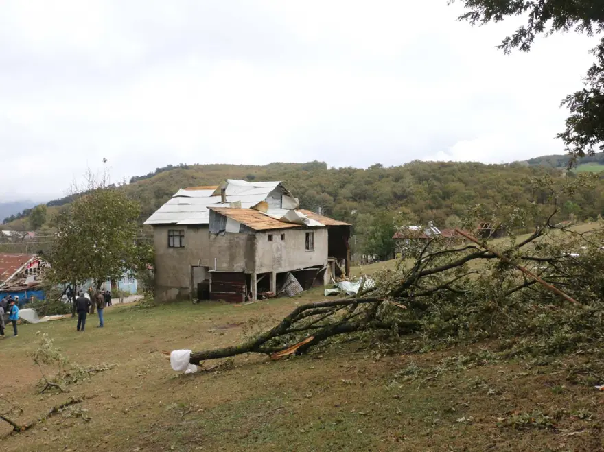 Bolu'da hortum: Ağaçlar devrildi, çatılar uçtu 10