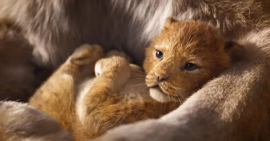 THE LION KING'DEN OSCAR'A ÖZEL TANITIM 11