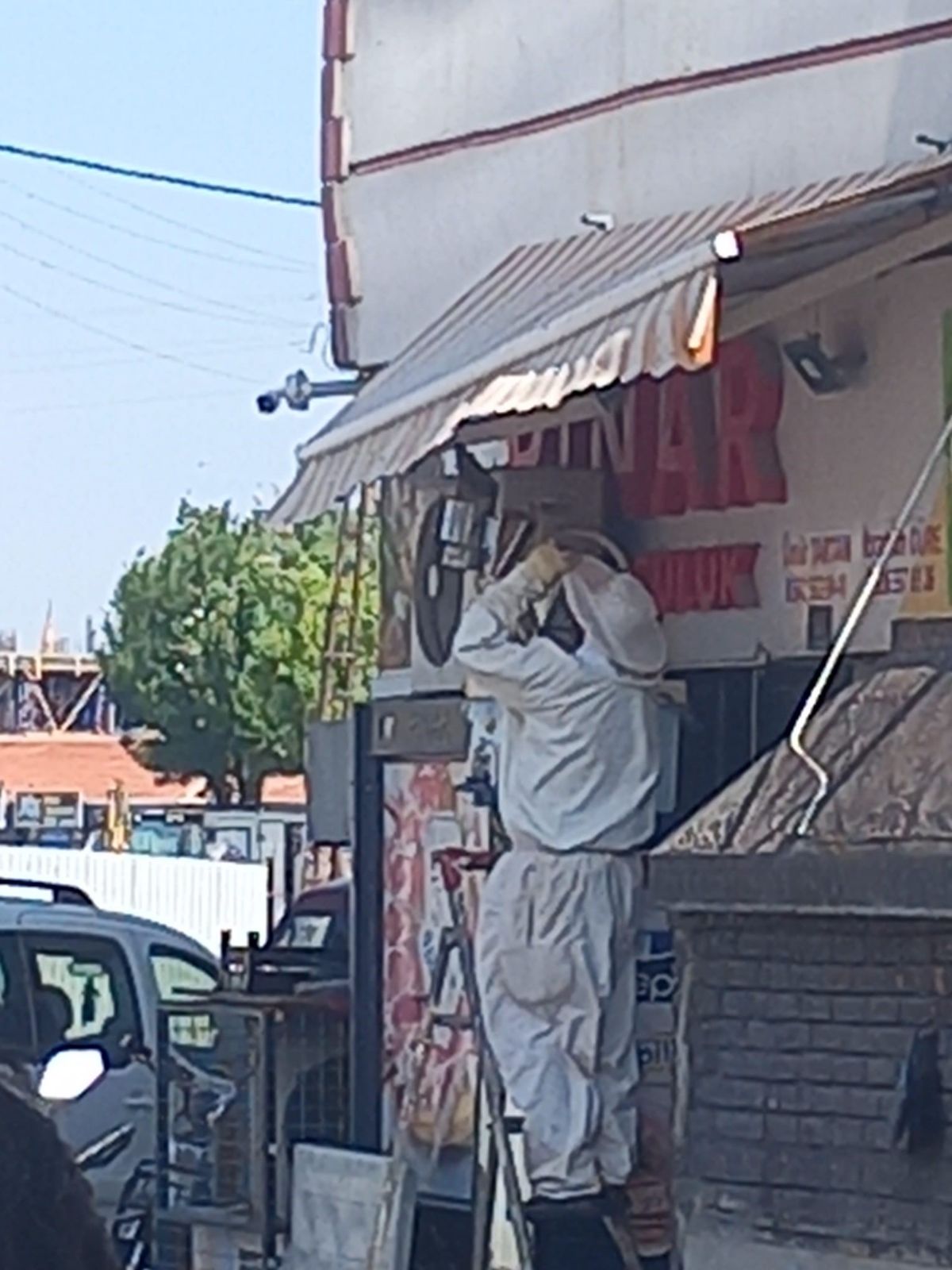 Konya'da kovanı terk eden arılar panik yarattı
