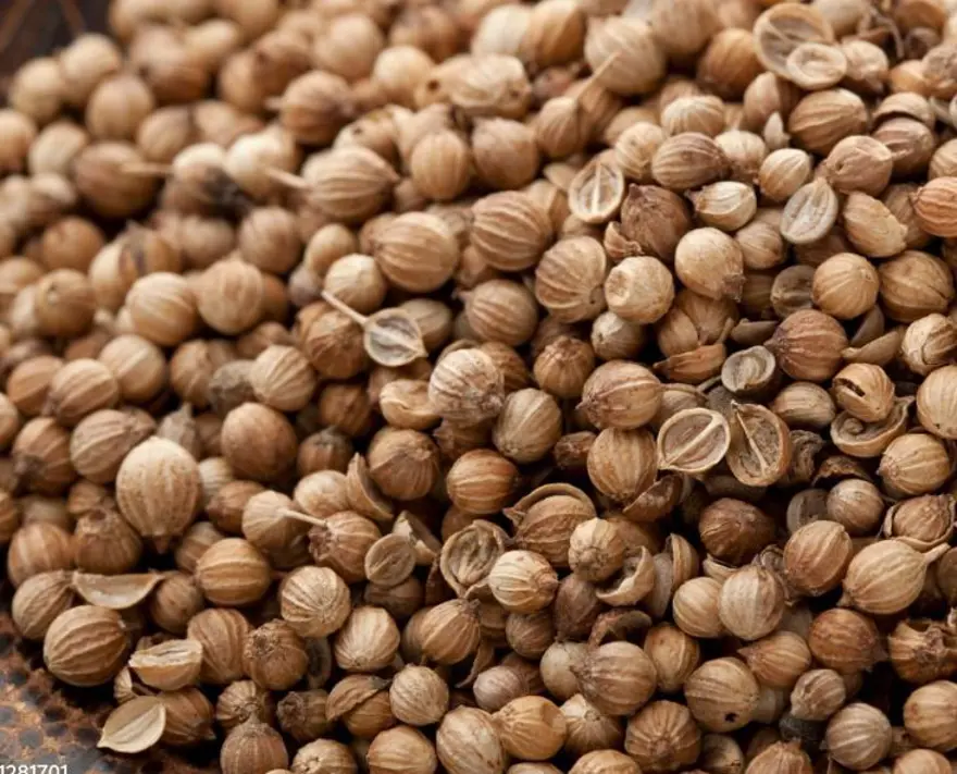 Türkiye'de Isparta ve Konya'da yetişiyor: Değerini en çok Meksikalılar biliyor! Karaciğerde toksin bırakmayan besin 