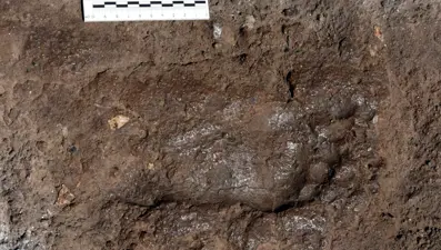 Van&#x27;da Urartuların ayak izine rastlandı