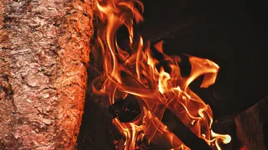 Ağrı yaprak döneri ve haşıl yemeği coğrafi işaretle tescillendi