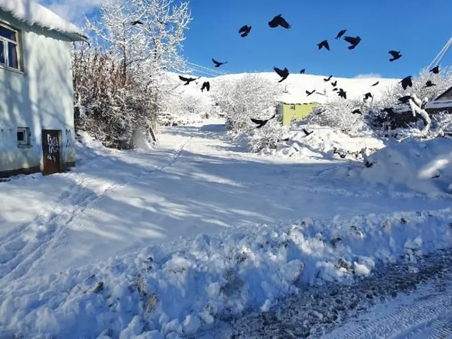 Karlıova'da kar yağışına rağmen 'kuraklık' korkusu 3