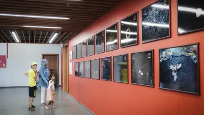 Van Kültür Yolu Festivali'nde çeşitli etkinlikler sanatseverlerle buluştu