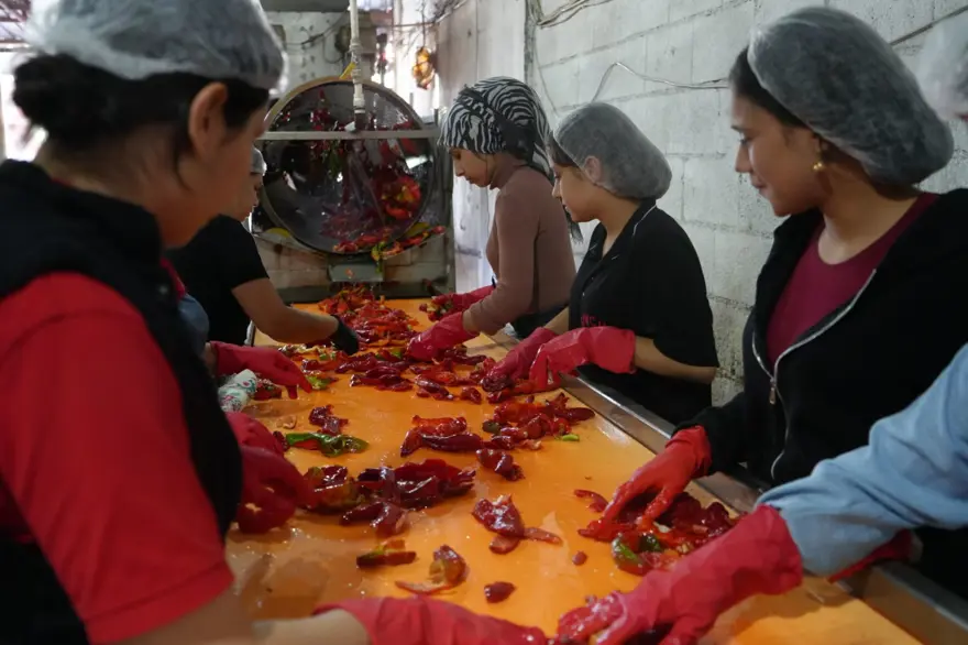Gaziantep'te "acı" mesaisi: Türkiye'nin dört bir yanına gönderiliyor Gaziantep'te "acı" mesaisi: Türkiye'nin dört bir yanına gönderiliyor