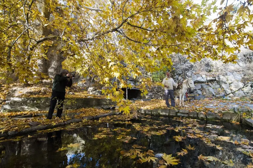 Tunceli'nin dağlarında kış, ovalarında sonbahar havası yaşanıyor 6 Tunceli'nin dağlarında kış, ovalarında sonbahar havası yaşanıyor 6