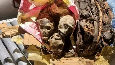 Havalimanından ilginç görüntüler: Yolcu bavulunda maymun ceseti bulundu