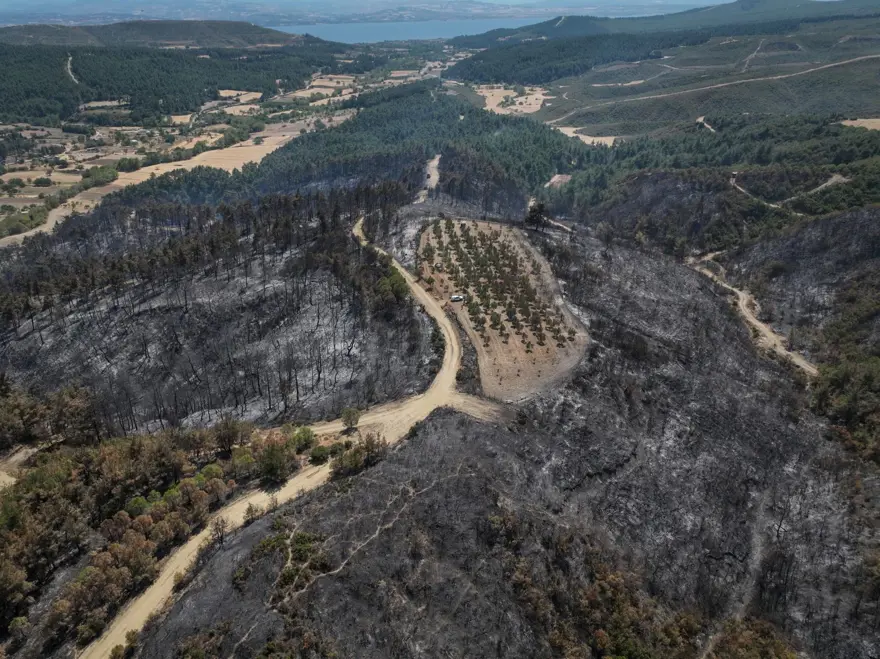 Çanakkale'de şaşırtan görüntü: Sadece o alan yanmadı 1 Çanakkale'de şaşırtan görüntü: Sadece o alan yanmadı 1