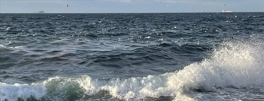 Yunanistan üzerinden Türkiye'ye giriş yaptı: Siklon dalgası nedir? 4