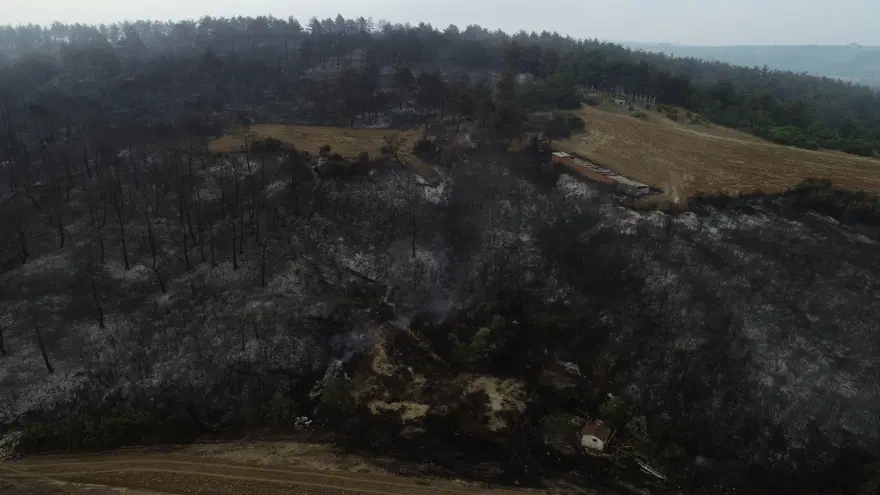 Çanakkale'de yangının boyutu gün ağarınca ortaya çıktı 7 Çanakkale'de yangının boyutu gün ağarınca ortaya çıktı 7