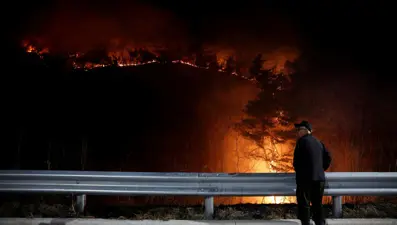 Güney Kore'de orman yangınları: Hasar tahmin edilenin iki katı