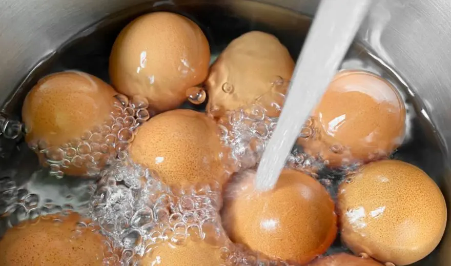 Yumurta ve limonu birlikte kaynatırsak ne olur? Bu etkisini çok az kişi biliyor 