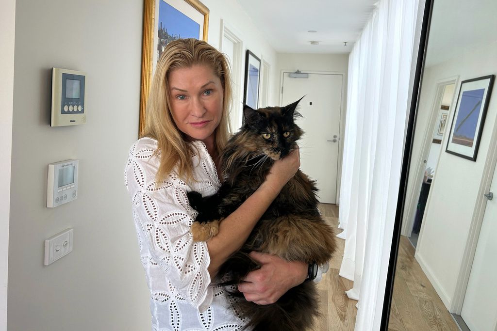 Uçakta unutulan kedi seyahat tutkunu oldu: 3 uçuşun ardından sahibine kavuştu