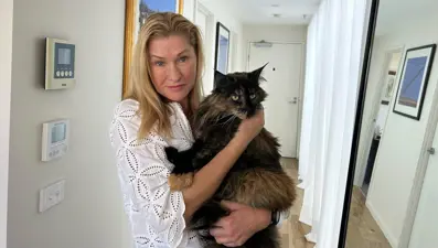 Uçakta unutulan kedi seyahat tutkunu oldu: 3 uçuşun ardından sahibine kavuştu