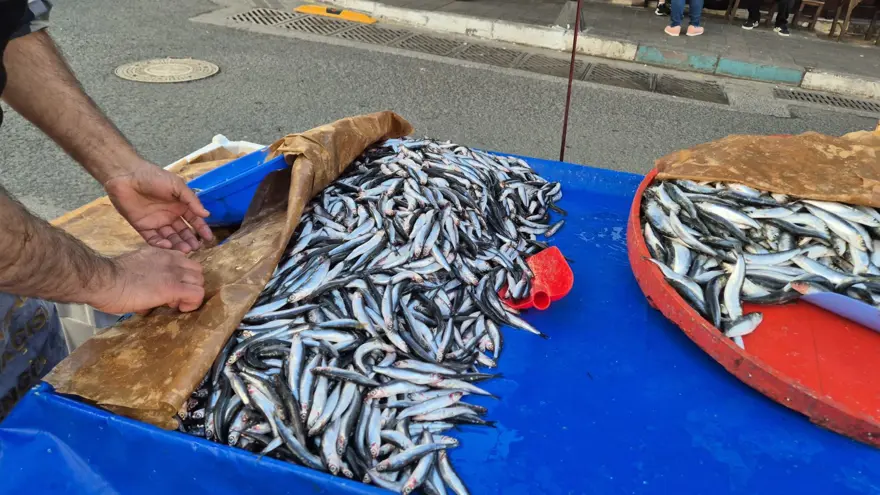 150 liradan tezgahta: Hafta sonuna göre geriledi 