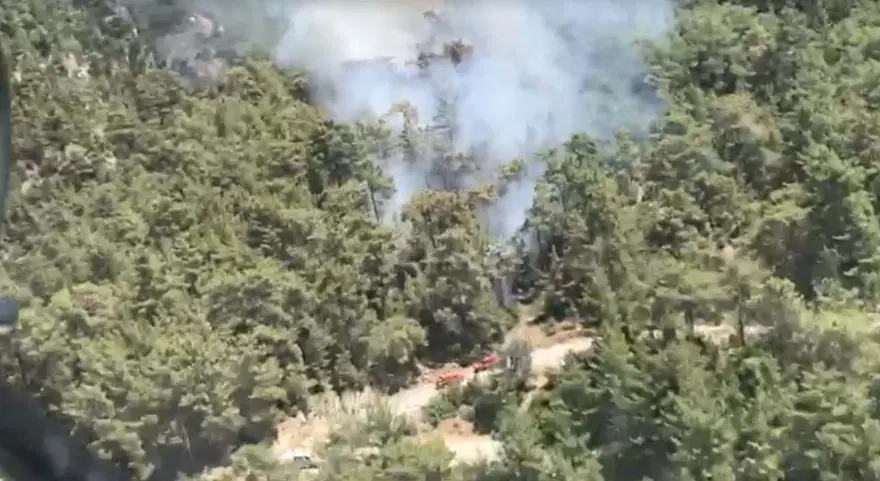 MUĞLA MİLAS'TAKİ YANGIN SÖNDÜRÜLDÜ 5