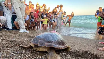 1,5 yılda 4 bin kilometre yol gitti