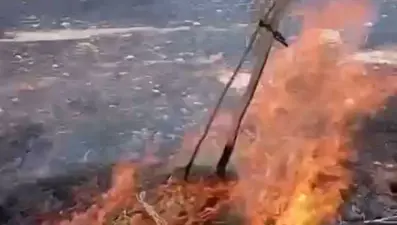 Mardin'de otluk alanda yangın: Kontrol altına alındı