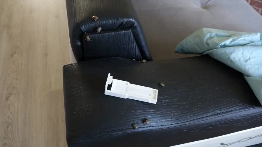 "KOKUSU ZEHİR GİBİ" 7