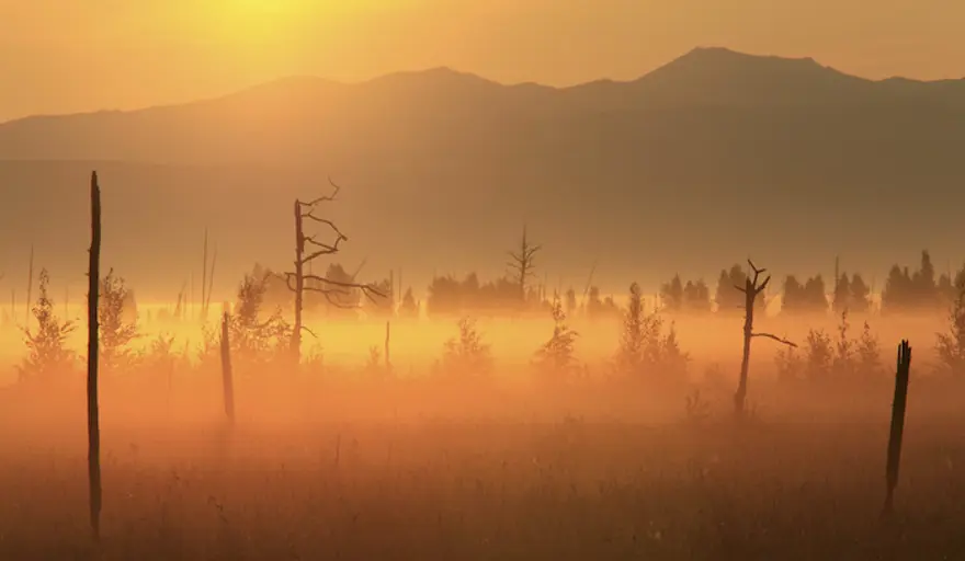 Doğanın muhteşem güzellikleri 40 Doğanın muhteşem güzellikleri 40