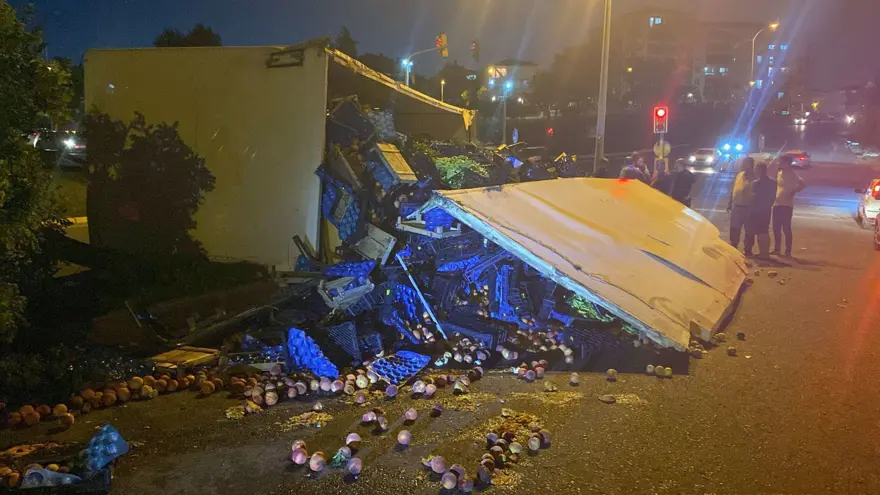 Kamyon devrildi, yere saçılan meyveleri kasayla götürdüler 
