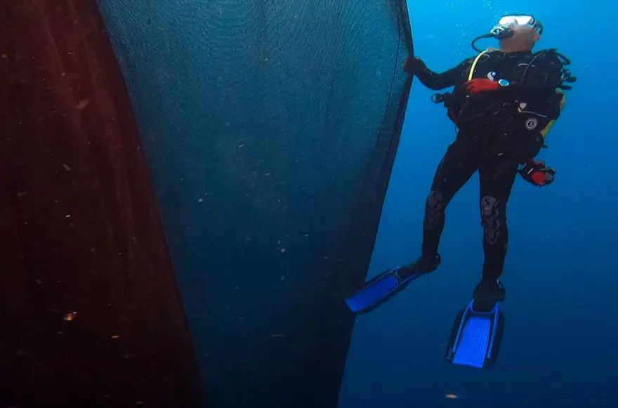 'Hayalet ağ' dalış turizmi için batırılan vapuru kapladı 13