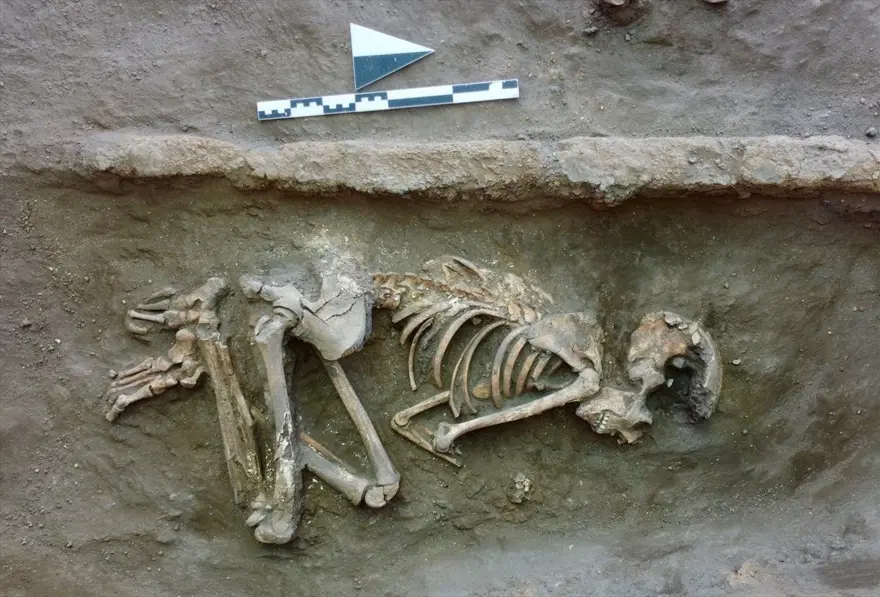Eskişehir Küllüoba Höyüğü'nde 5 bin yıllık küp mezarlarda çocuk iskeletleri bulundu 1